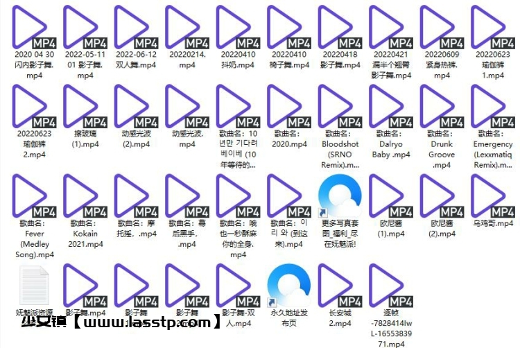 794、【斗鱼】煊宝影子舞+表情诱惑骚舞（35V5.56g）